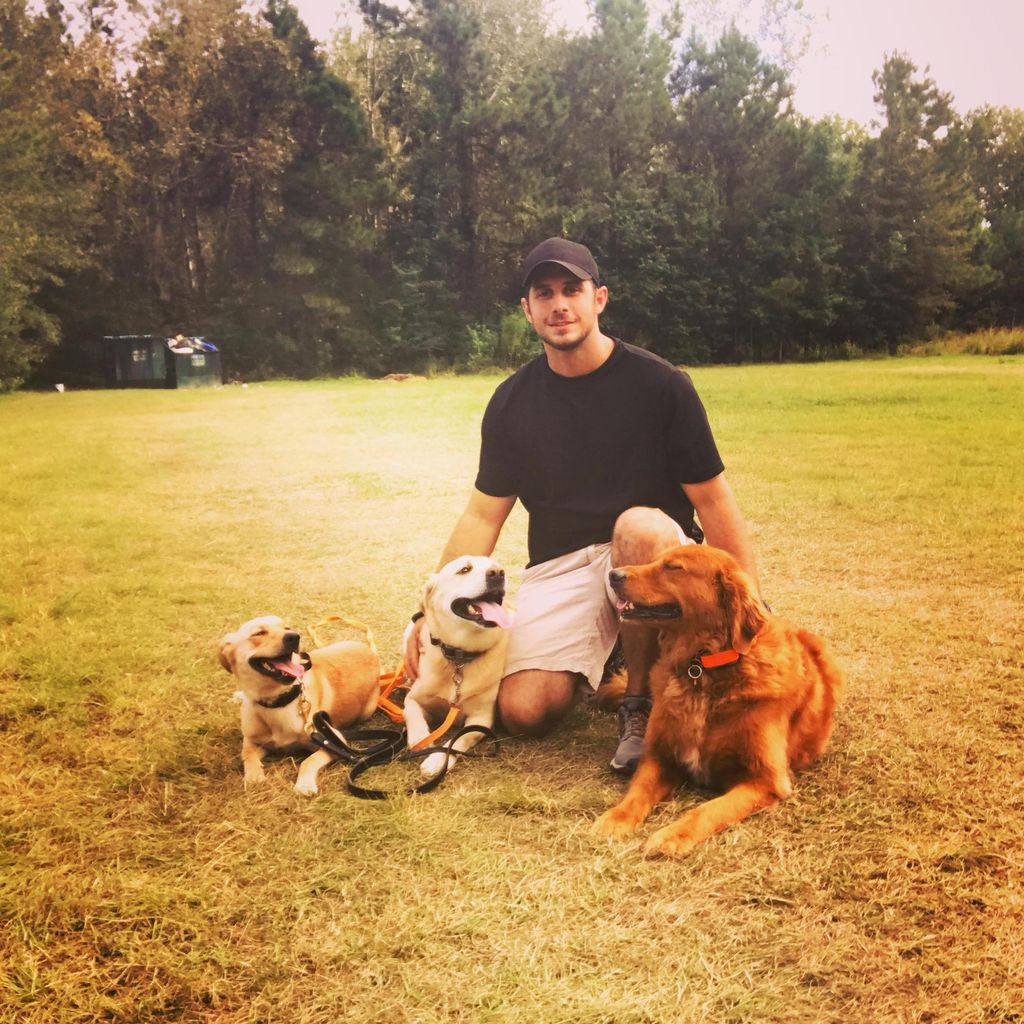 Canine Revolution Dog Training