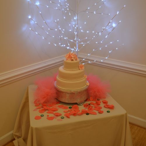 Wedding Cake for Wedding Reception
