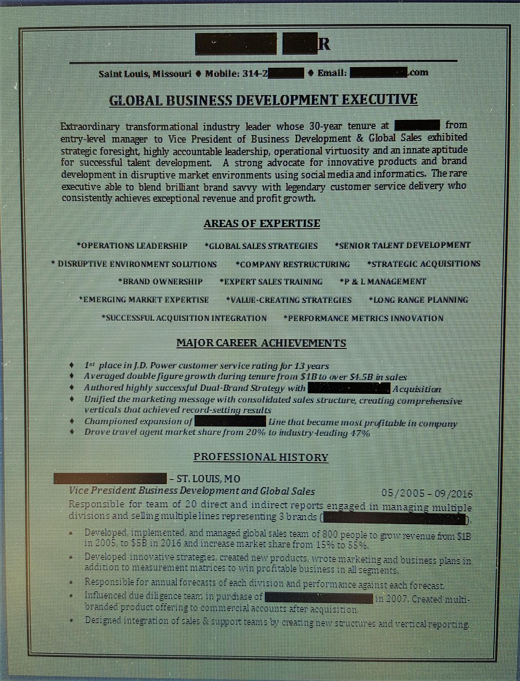 Sample Executive Resume Excerpt