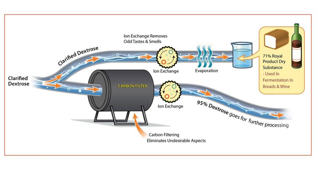 Process Rendering. Adobe Illustrator.