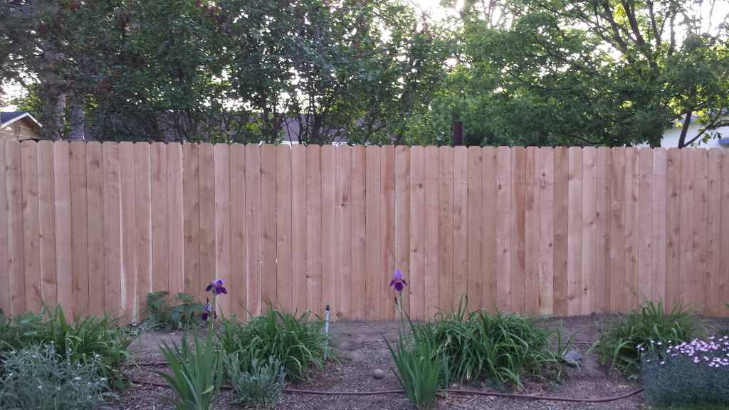 cynthia's new fence