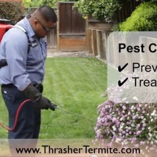 Pest control and pest prevention.