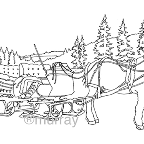 Horse and Sleigh -drawn on location