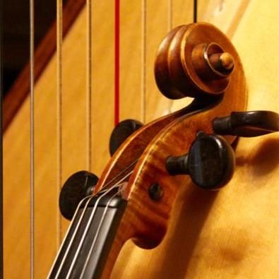 Glissbliss Studio Harp and Violin Lessons