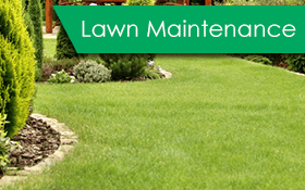 Dependable Lawn Maintenace