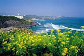 I am from a beautiful country, South Korea.