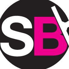 Squeegee Bros. Window Cleaning, LLC