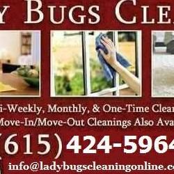 Lady Bugs Cleaning