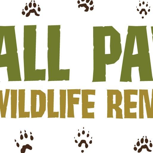 All Paws Wildlife Removal LLC