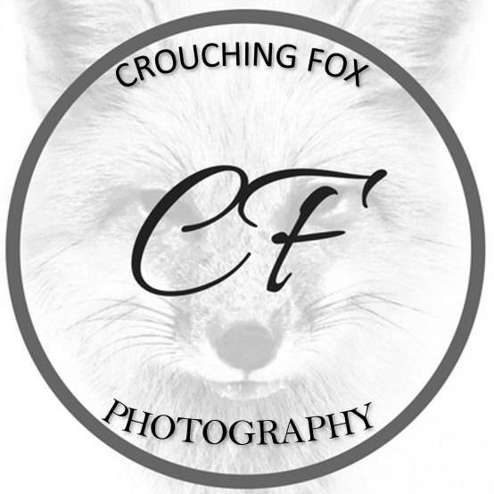 Crouching Fox Photography