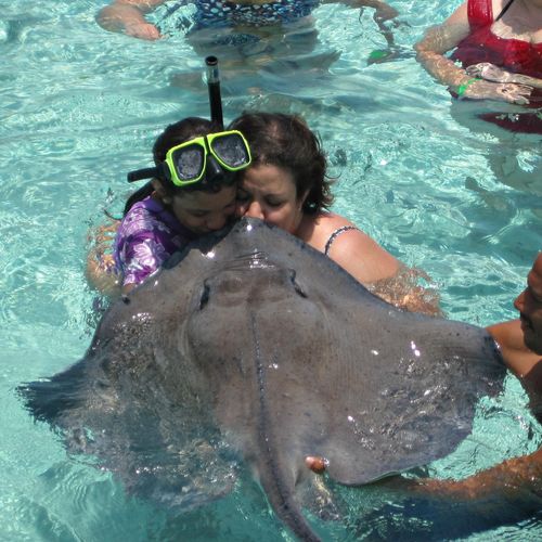 Kissing a stingray in Grand Cayman!