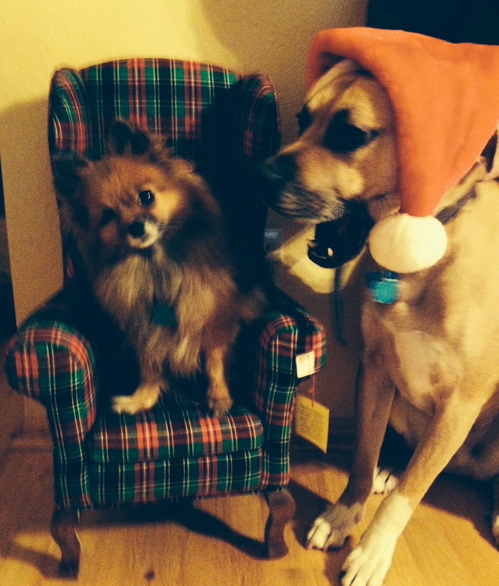 Two of our customers ! It's the Holiday Season her