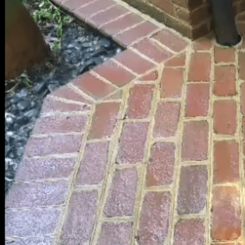 Driveway/Sidewalk/Brick Cleaning 