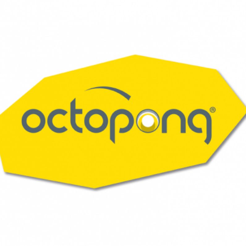 Octopong, LLC