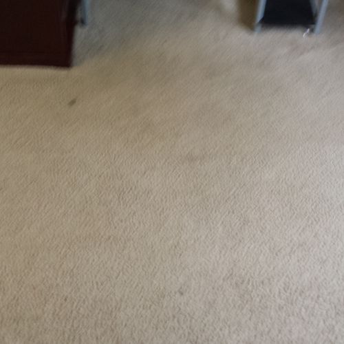Before of dirty carpet.