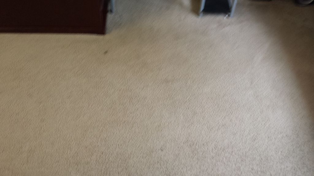 Before of dirty carpet.