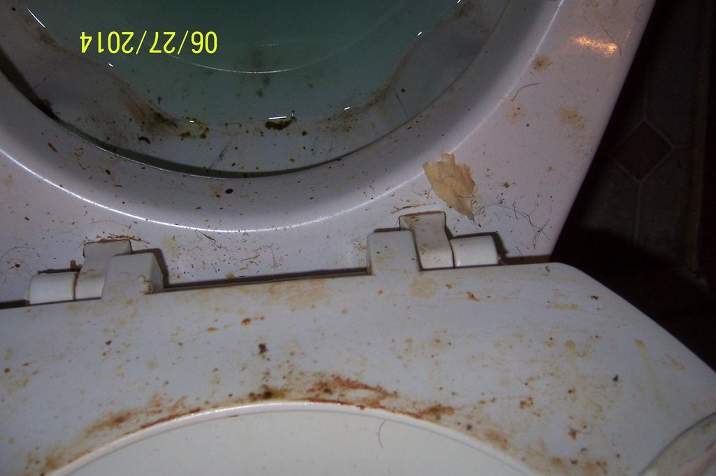 Not so pretty commode...Before