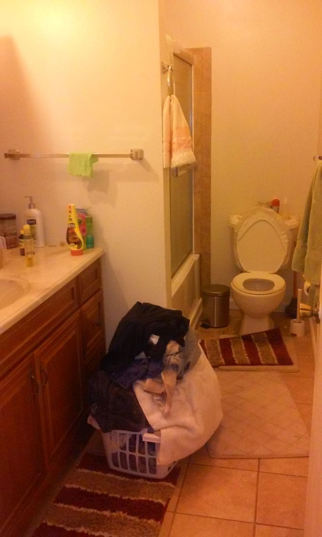 bathroom BEFORE