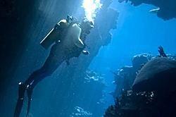 Scuba Dive Vacations