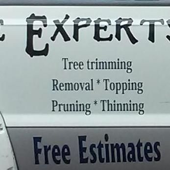 Monster Tree Experts