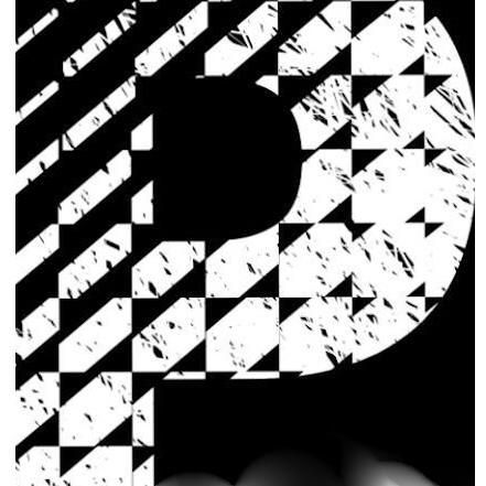 Paradigm Pressure Cleaning