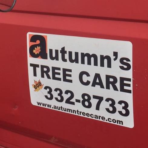 Autumns Tree Care