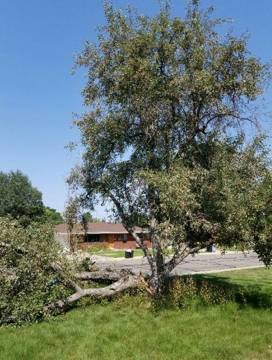 Greeley, CO