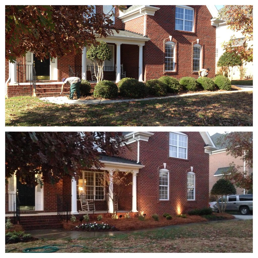 clean up and refresh of landscape.  landscape ligh