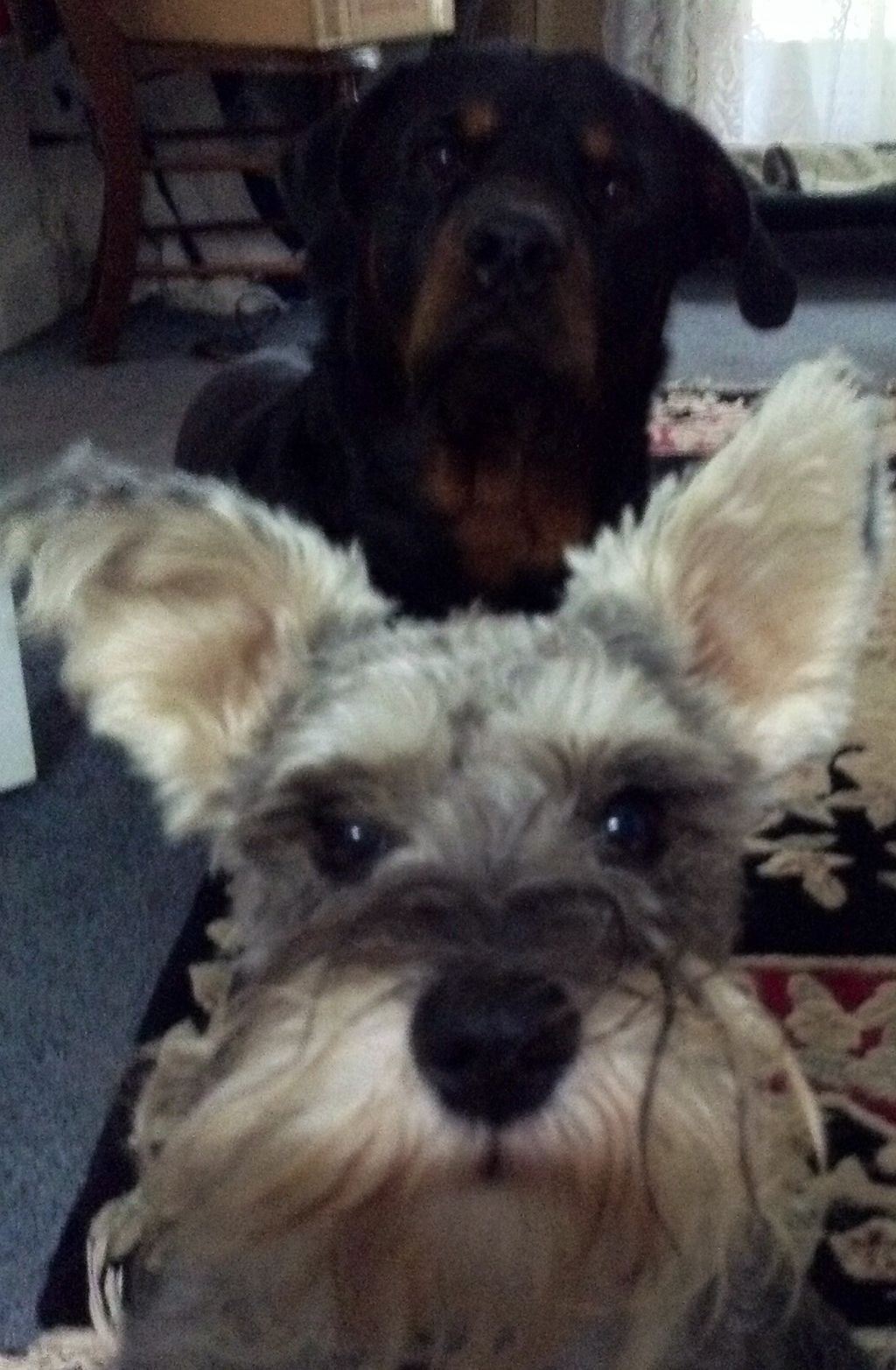 Eye contact is very important!