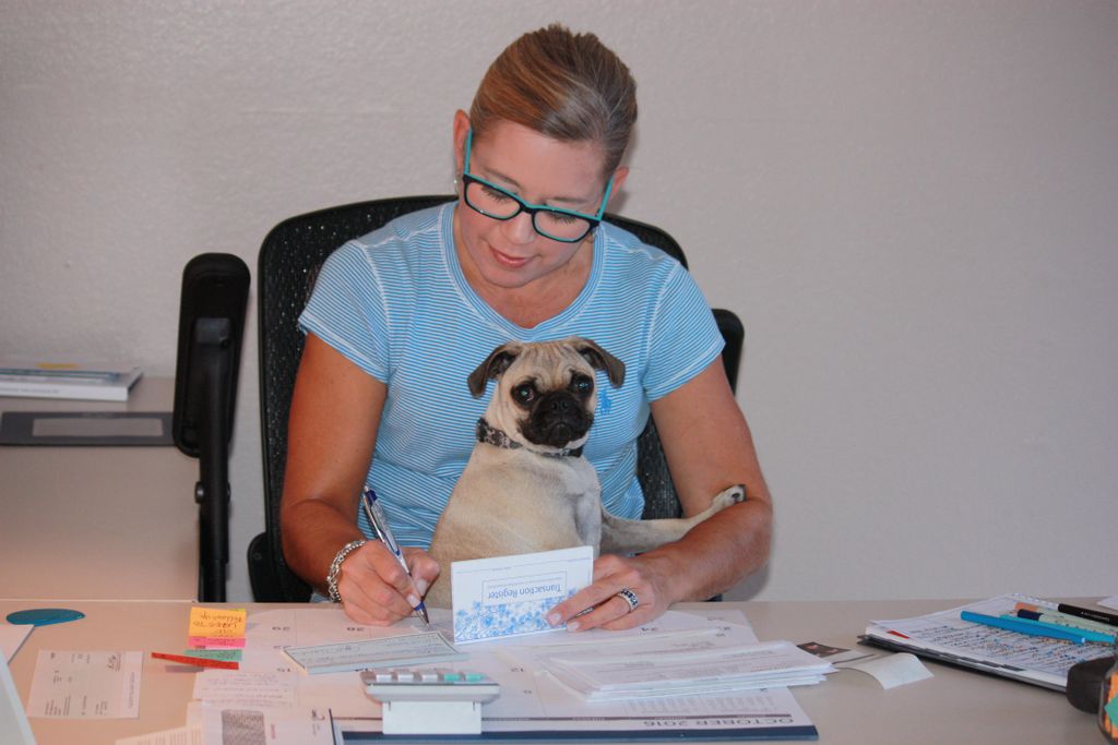 April hard at work with her pug assistant-Indie
