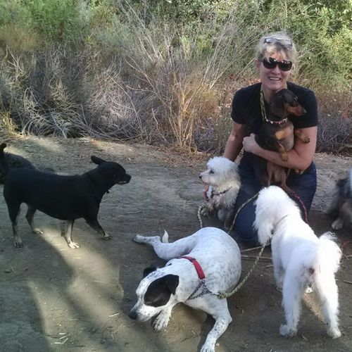 Hitting the trail with Sophie, Cookie, Mia, Buddy 