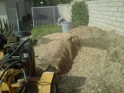 First pass with the self propelled stump grinder