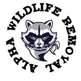 Alpha wildlife removal