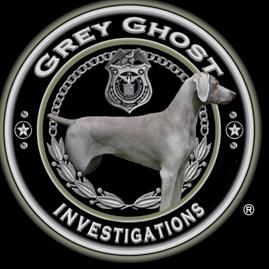Grey Ghost Private Investigator Miami