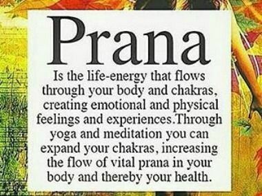 Prana is life force energy. Reiki is a Japanese wo