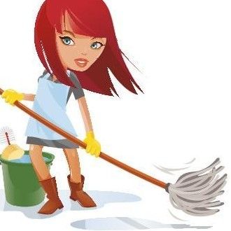 Lesley cleaning service