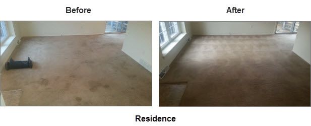 Green Carpet Cleaning