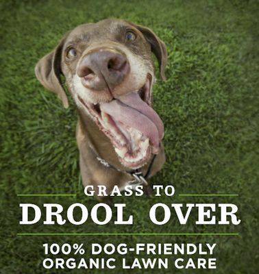 Completely organic treatments that are pet and chi