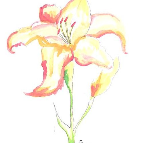 Lily -  original watercolor by Gary Springer