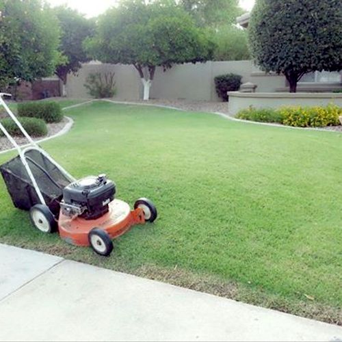 Lawn Care Mowing