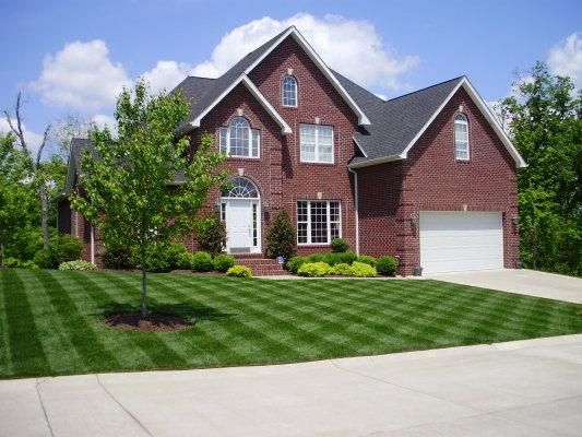 Quality Cut From a Small Mower