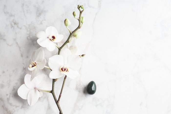 Distance Healing - Many Reiki practitioners rely o