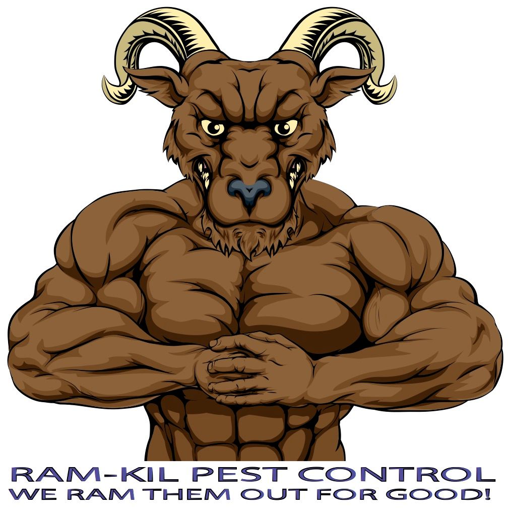 RAM TOUGH!