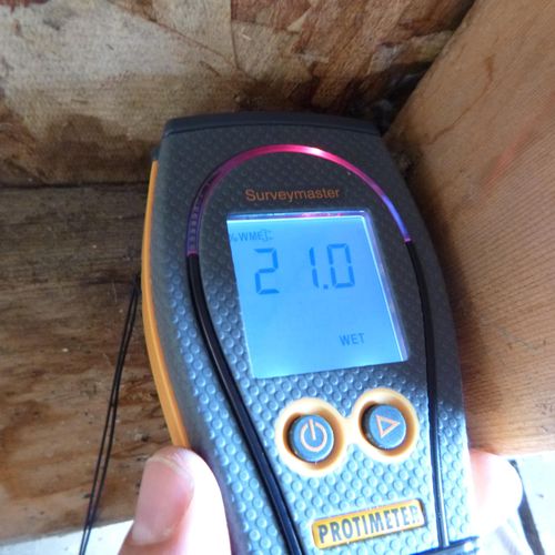 Elevated moisture at wall sheathing