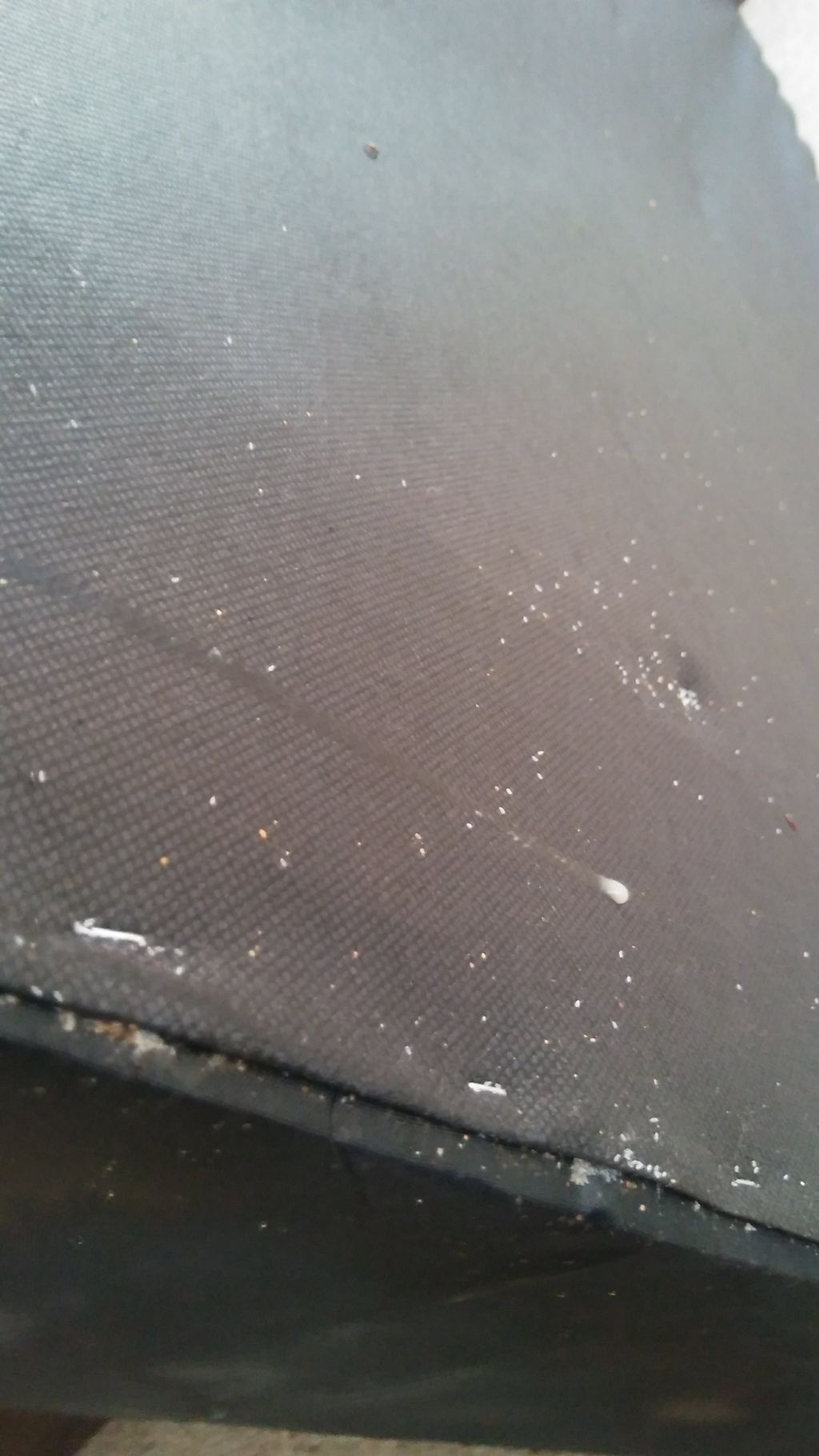 the white flecks are bed bug eggs