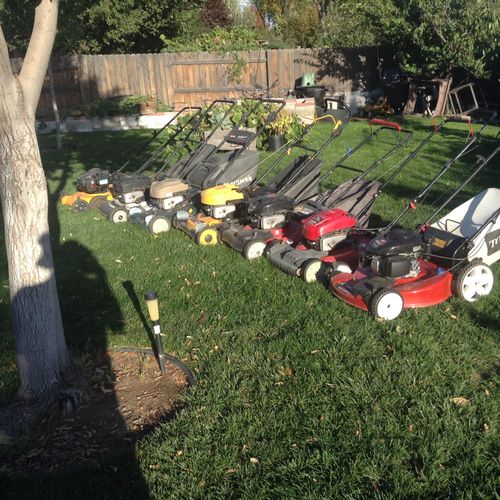 Some of the mowers I've fixed & sold ! 
