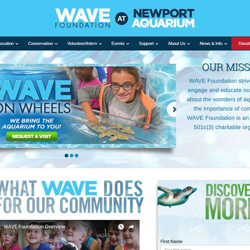 WAVE Foundation Website