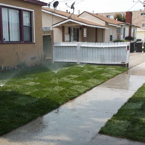 New Lawn with Irrigation System
Satisfied Thumbtac