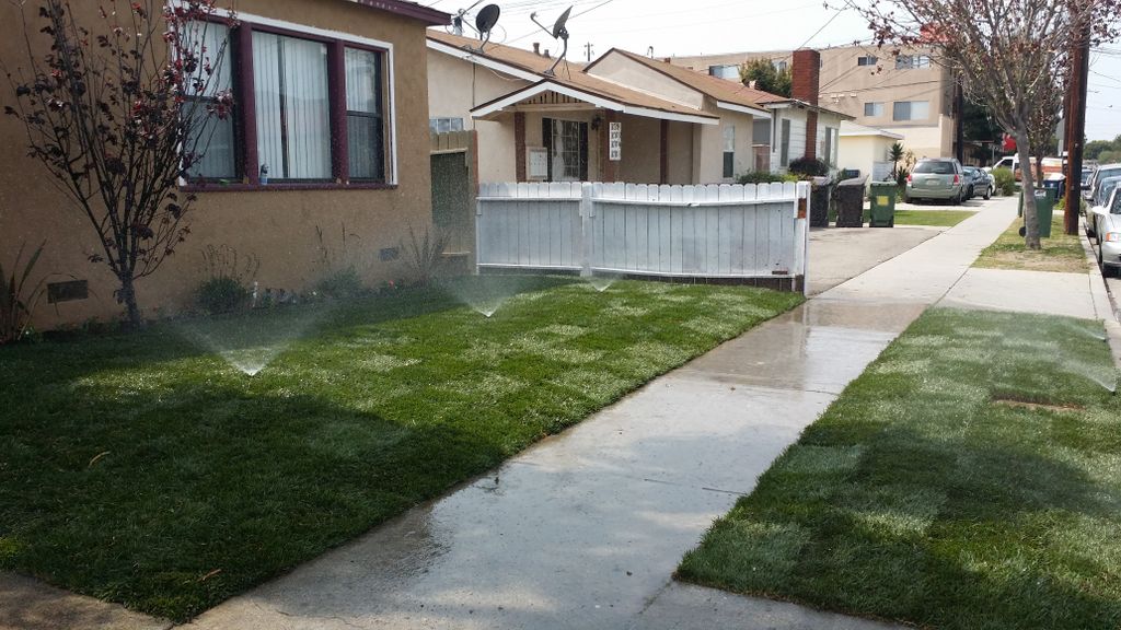 New Lawn with Irrigation System
Satisfied Thumbtac