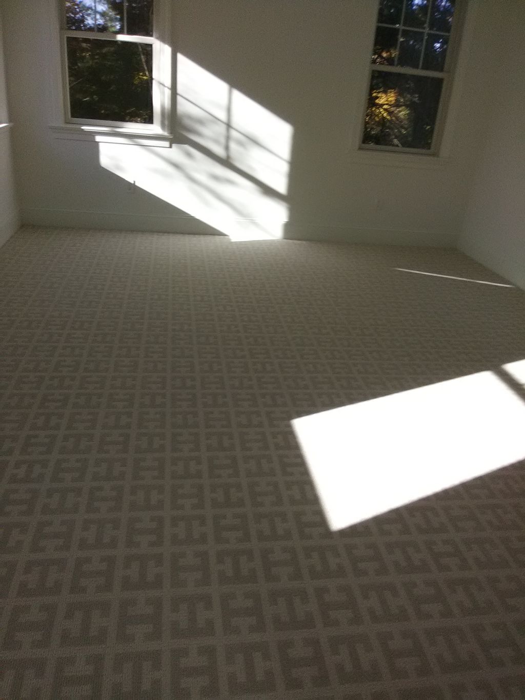 B and b economy carpet